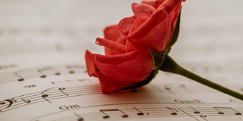 Musik, Filme und Bücher